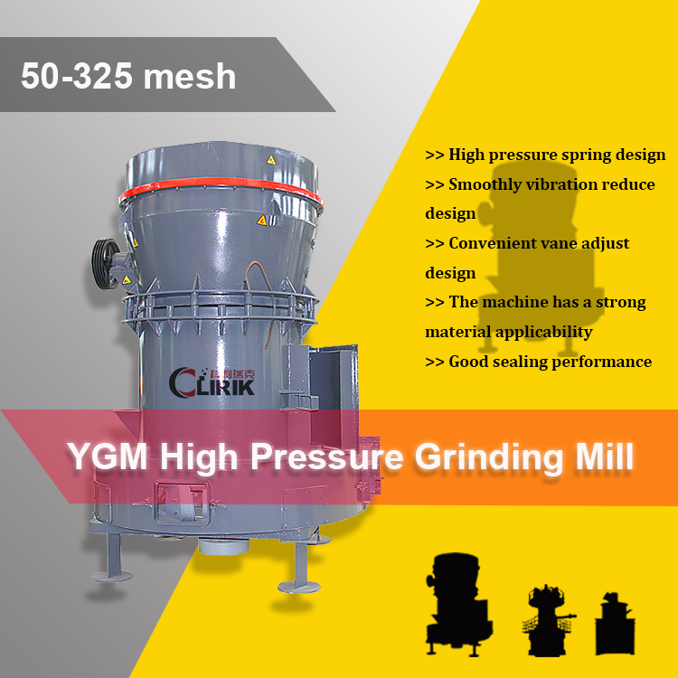 raymond vertical mill